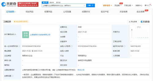 社會經濟咨詢服務 驅動現代商業決策與發展的隱形引擎